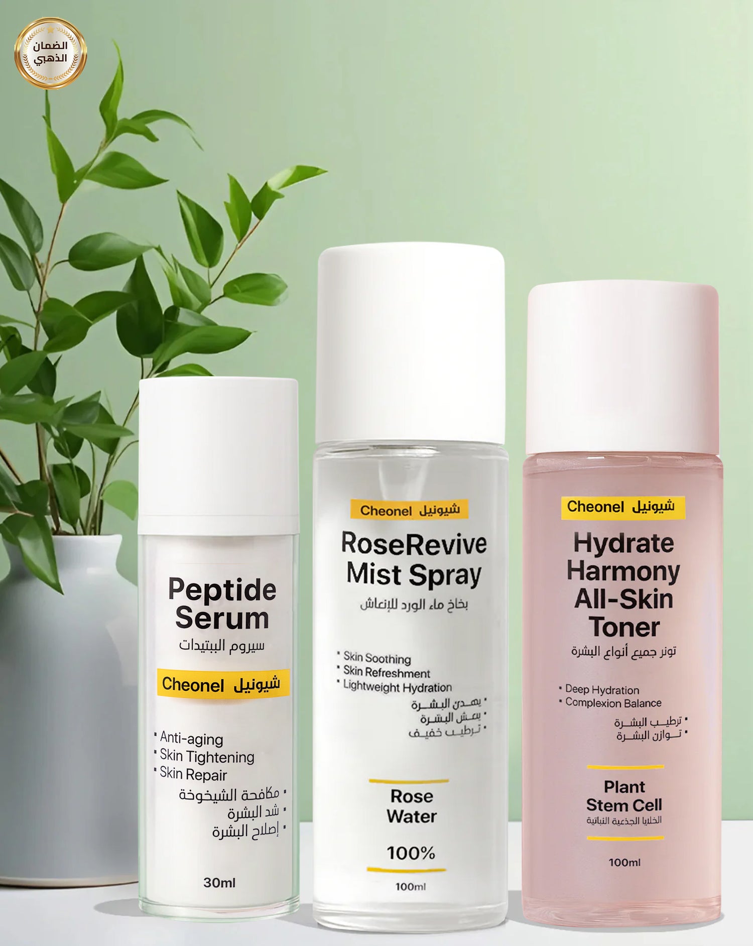 مجموعة الشباب الدائم